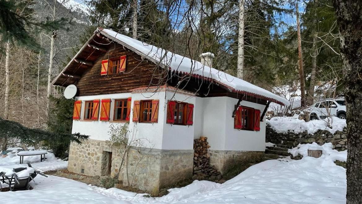 Chalet Le Tyrolien, Au Coeur Du Boreon Saint-Martin-Vésubie Екстериор снимка