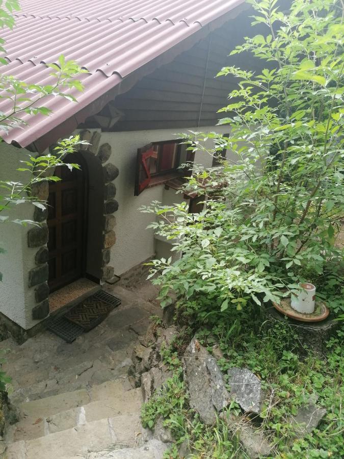 Chalet Le Tyrolien, Au Coeur Du Boreon Saint-Martin-Vésubie Екстериор снимка