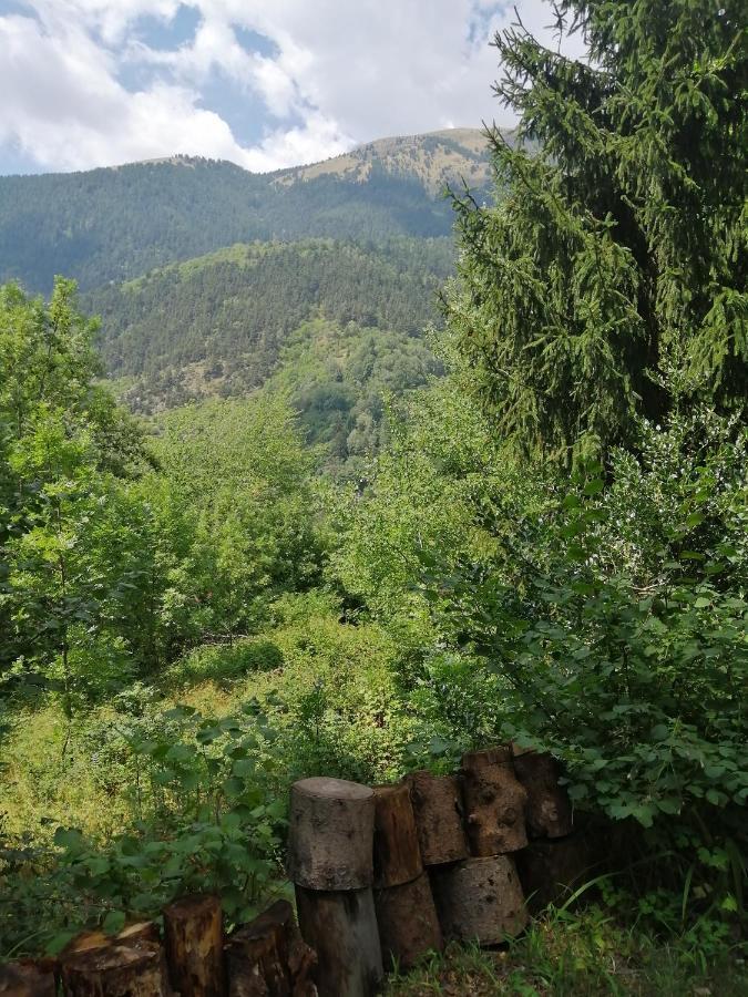 Chalet Le Tyrolien, Au Coeur Du Boreon Saint-Martin-Vésubie Екстериор снимка
